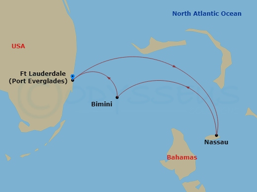 Celebrity Reflection