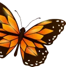 Spring Break Cruise Deals