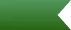 St. Patrick's Day
