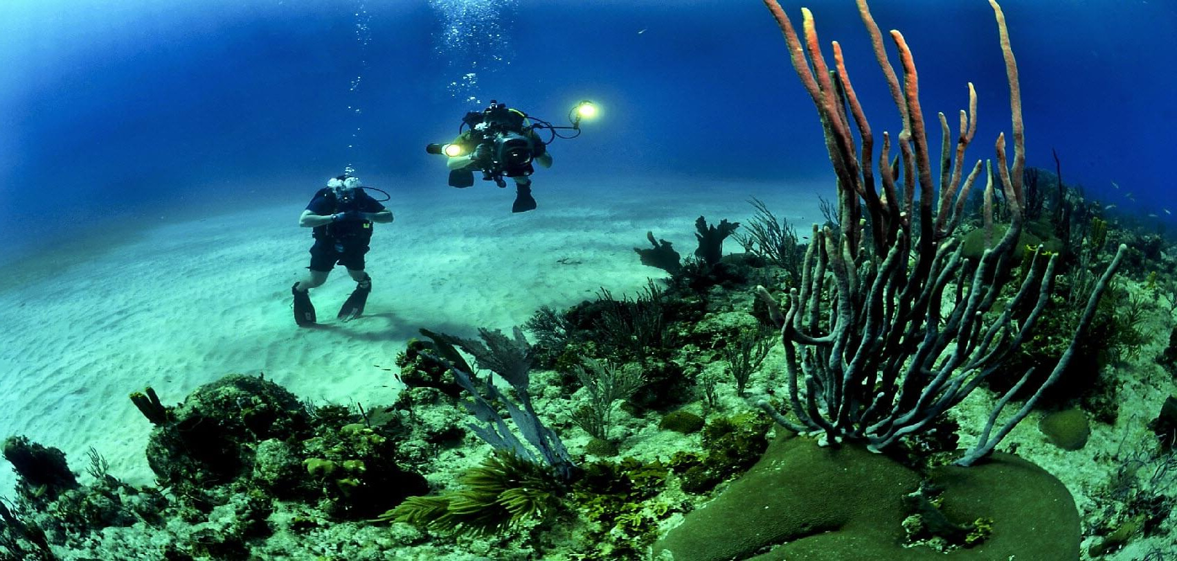 10-best-scuba-diving-destinations-in-the-caribbean-cruisebooking