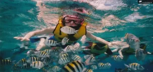 Snorkelers