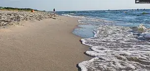 golden yellow beach and grass line the Baltic Sea