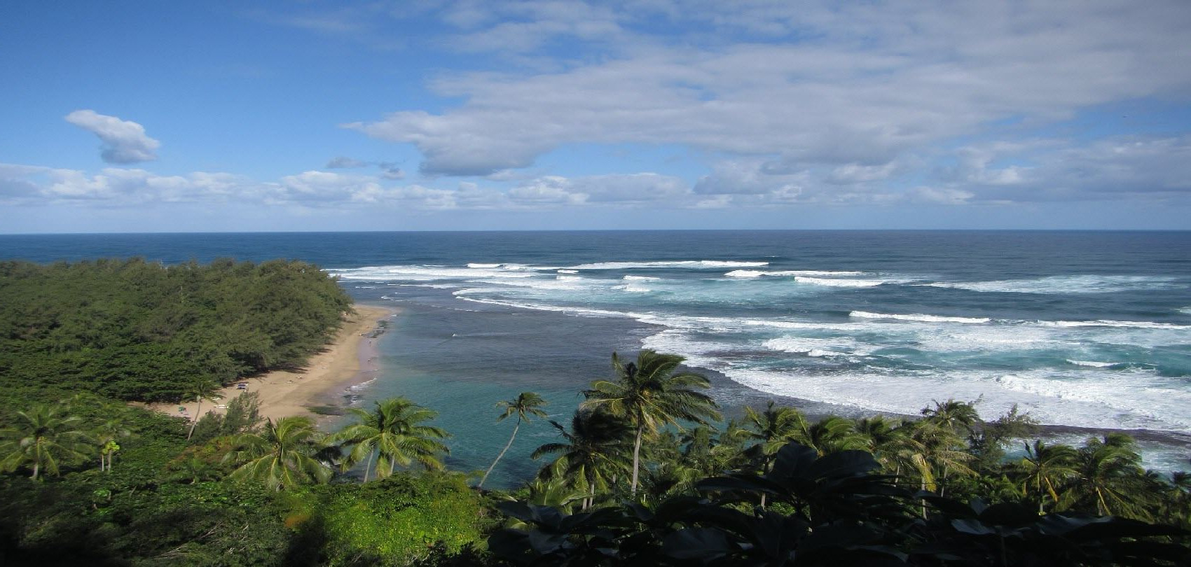 Best Time to Cruise to Hawaii