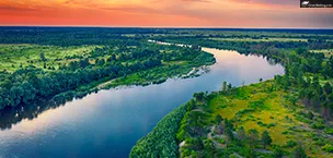 Amazon River SouthAmerica