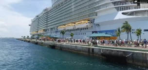 allure of the seas cruise ship
