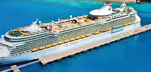 royal caribbean freedom class ships