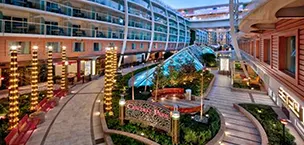 wonder of the seas central park