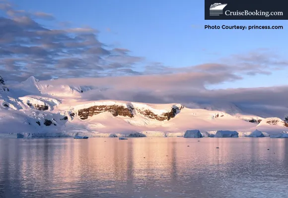 Princess Cruises Unveils Four Antarctica Voyages for 2024-25