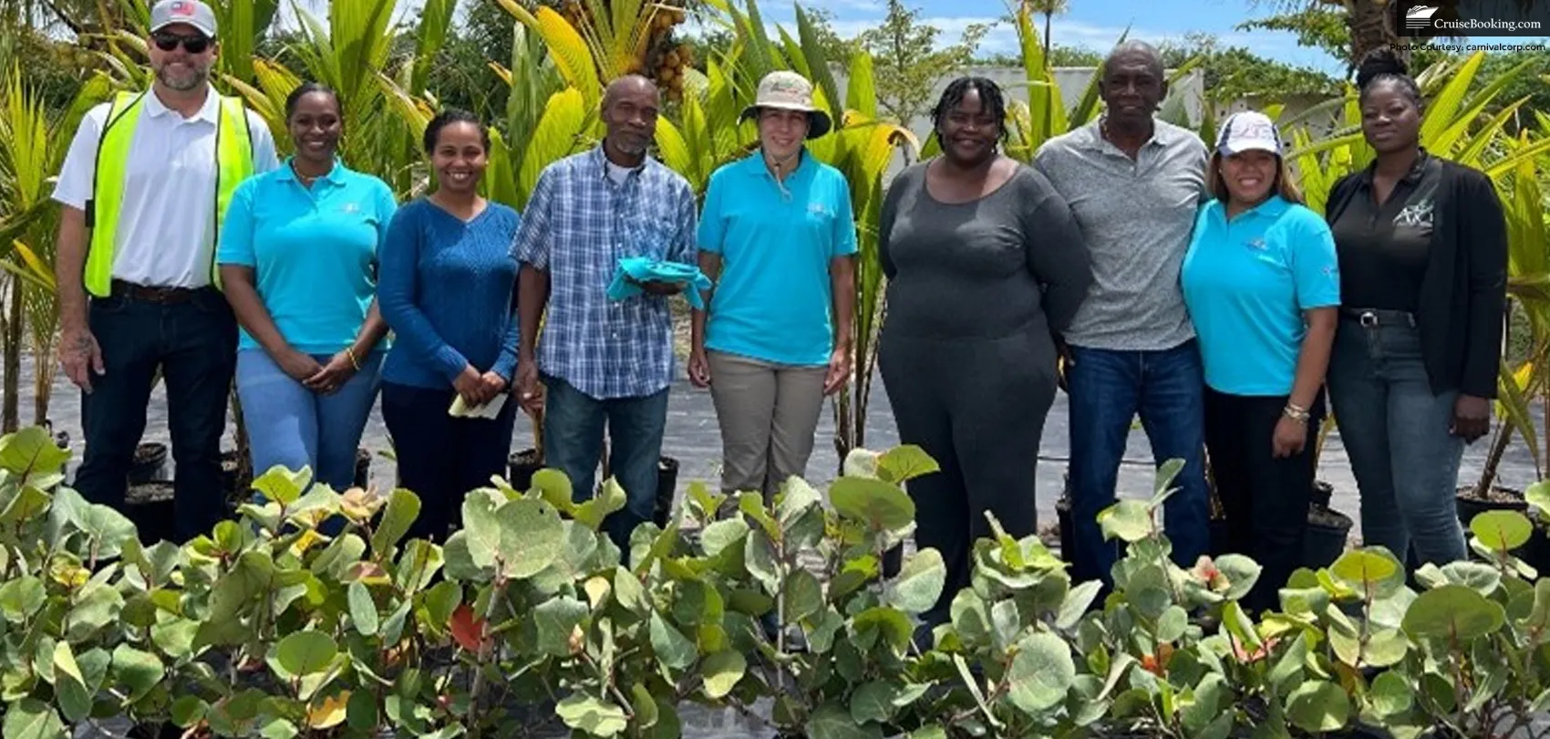 Carnival Bought 5,000 Trees for Celebration Key Private Island