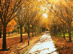 Fall Cruise Deals for 2023